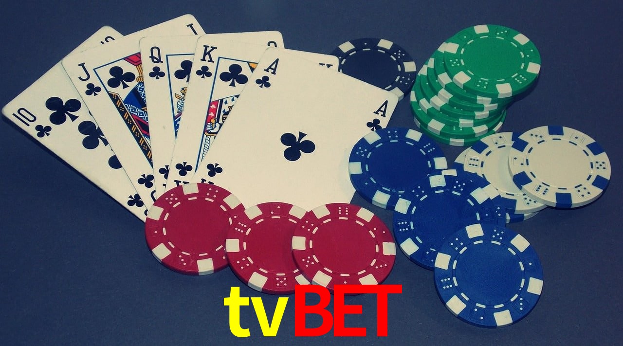 Experiência VIP tvbet